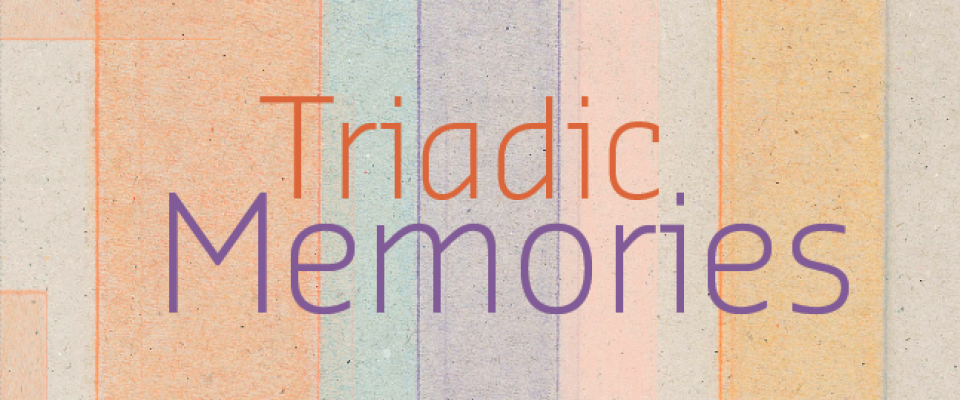 01 | Triadic Memories